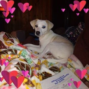 Meet your Posher, Ron